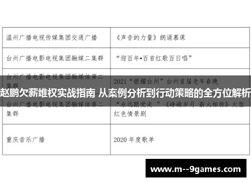 赵鹏欠薪维权实战指南 从案例分析到行动策略的全方位解析