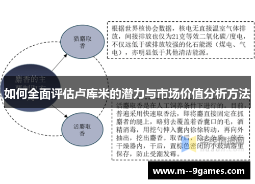 如何全面评估卢库米的潜力与市场价值分析方法 如何全面评估卢库米的潜力与市场价值分析方法
