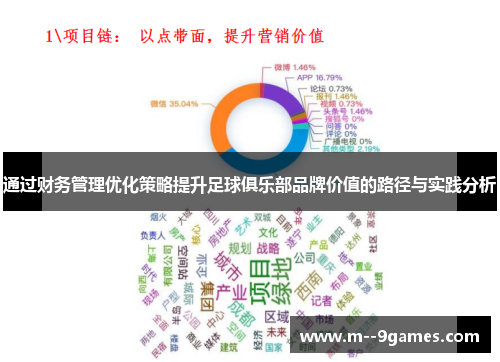 通过财务管理优化策略提升足球俱乐部品牌价值的路径与实践分析 通过财务管理优化策略提升足球俱乐部品牌价值的路径与实践分析
